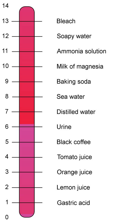 6.10C: Microbial Growth at Low or High pH - Biology LibreTexts