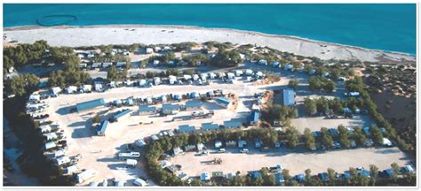 Shark Bay Accommodation Powered Caravan & Camping Sites close to Monkey Mia dogs welcome Offpeak ...