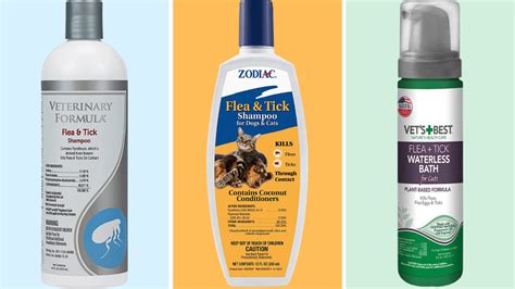 Got Fleas? Here Are the Top 5 Best Flea Baths for Cats!