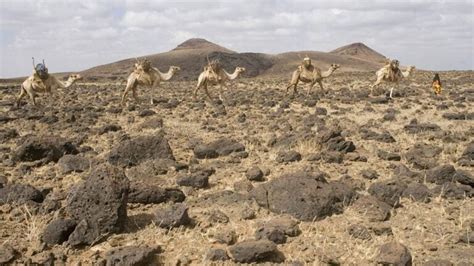 Chalbi Desert, Kenya – Here Goes Kenya