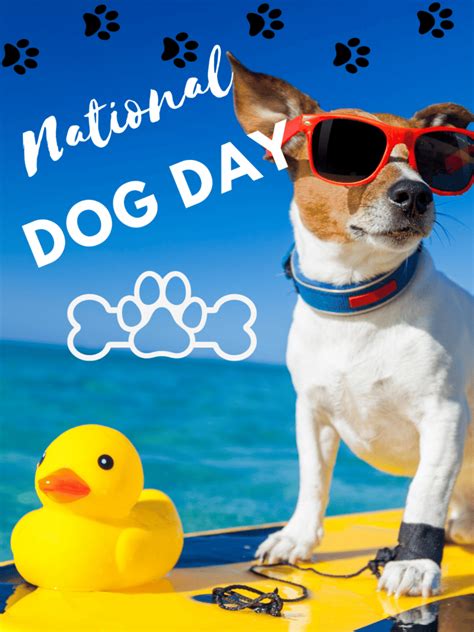 National Dog Day - MTT Education Station