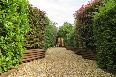 Instant Hedge - Mature Ready Grown Hedges From Practicality Brown