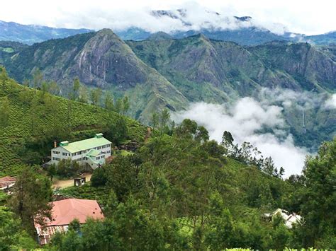 Kolukkumalai Trek - the Highest Tea estate in the world