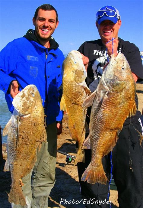 Brothers Jason and Justin Smith of Evadale, TX caught and released ...