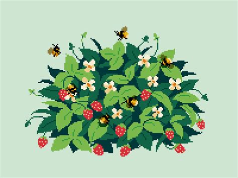 spitsplash:strawberries and bees and sunshine
