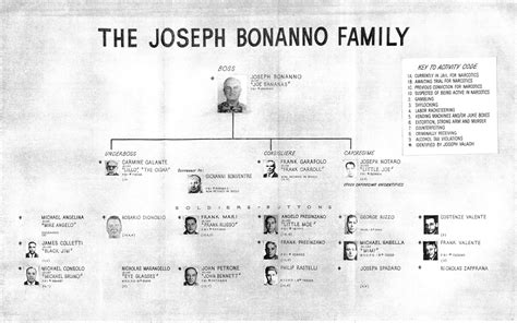 Bonanno family chart