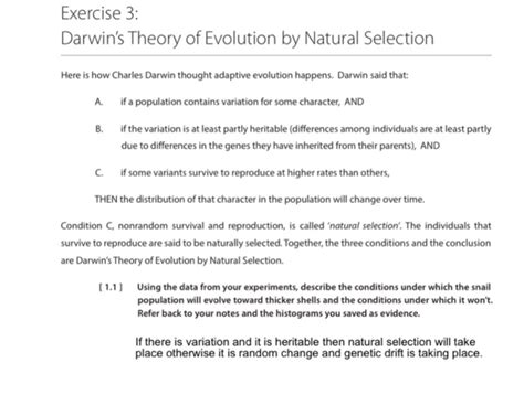 43 darwin's theory of evolution worksheet answers - Worksheet For Fun