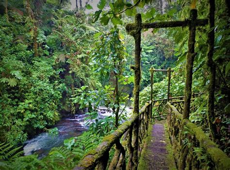 La Paz Waterfall Gardens Hours | Fasci Garden