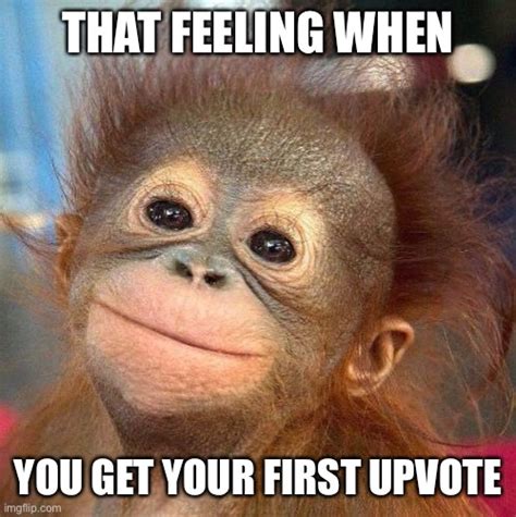 Monkey Smiling Meme