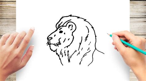 How to Draw Lion Head from Side View - YouTube