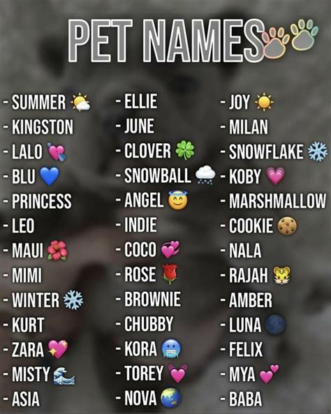 Pet names 🐾 | Nomes para cachorros, Nomes de animais, Nomes fofos