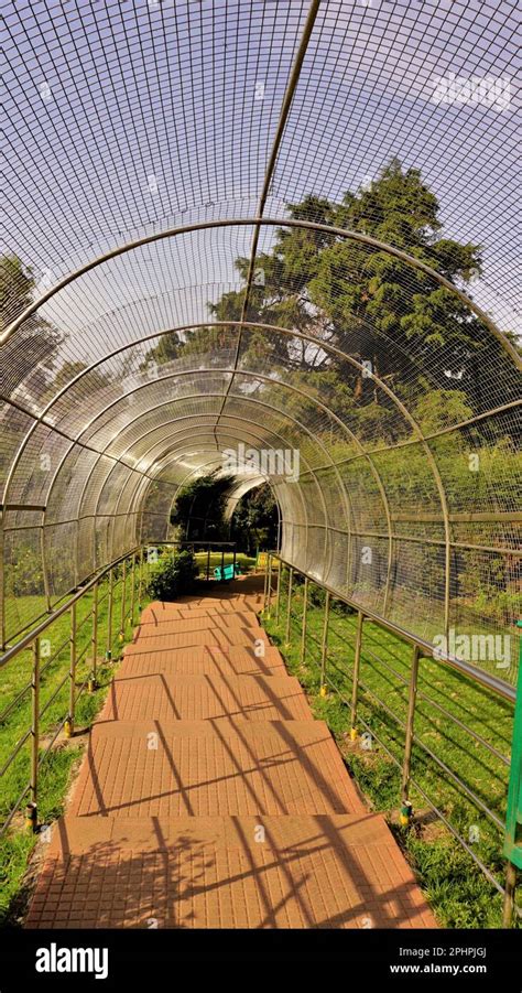 Walkway or path to the view points at the Top of Doddabetta peak from telescope house. Highest ...