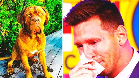 This is What Happened to Messi' dog - Hulk 😭 - YouTube