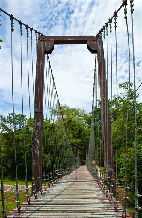 Rope bridge stock image. Image of plank, footbridge, lush - 44904281