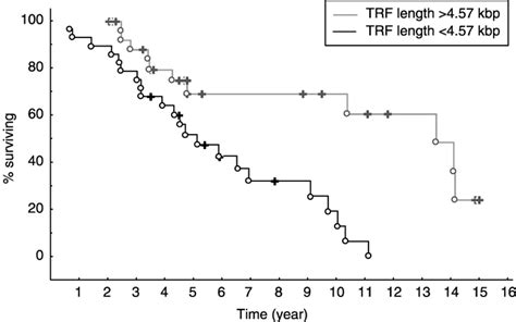 Survival data for CLL patients subdivided according to telomere length... | Download Scientific ...