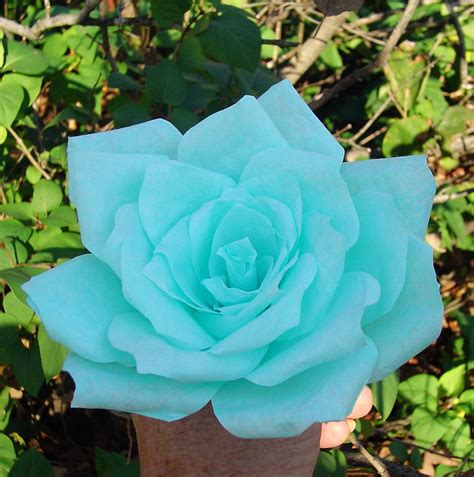 Natural Teal Colored Flowers