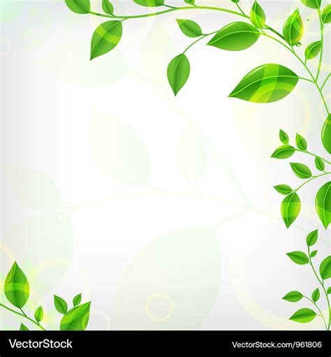 Vines background Royalty Free Vector Image - VectorStock