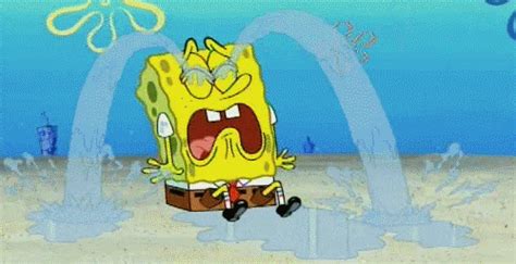 Spongebob Squarepants Funny GIFs on Giphy