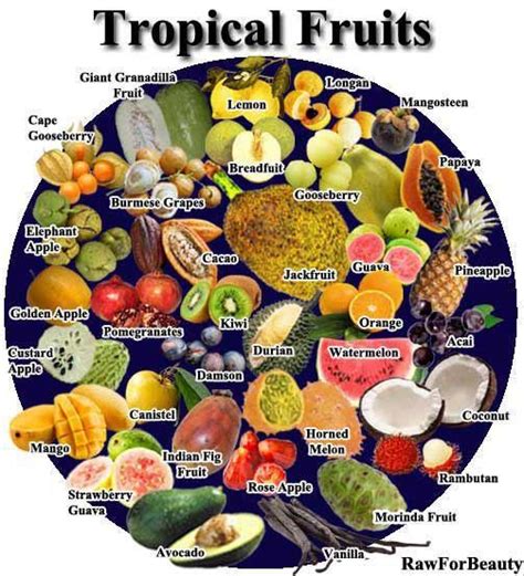 Farming & Agriculture: Tropical Fruits | Tropical fruits, Fruit, Tropical food