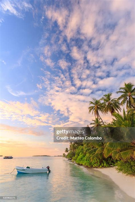 Sunrise Over Tropical Beach With Palms Maldives High-Res Stock Photo ...