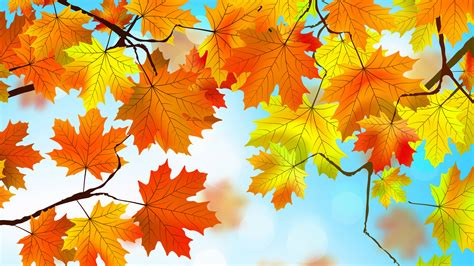 2048x1152 Autumn Leaves HD 2048x1152 Resolution HD 4k Wallpapers ...