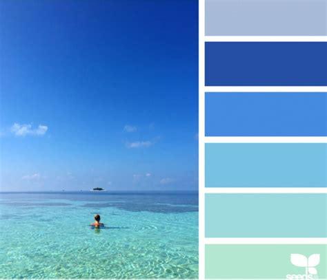 Cobalt Blue ceiling. Laundry | Blue colour palette, Design seeds, Color palette design