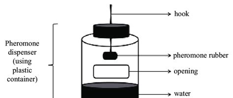 The structure of pheromone traps of Spodoptera exigua (Hübner); the... | Download Scientific Diagram