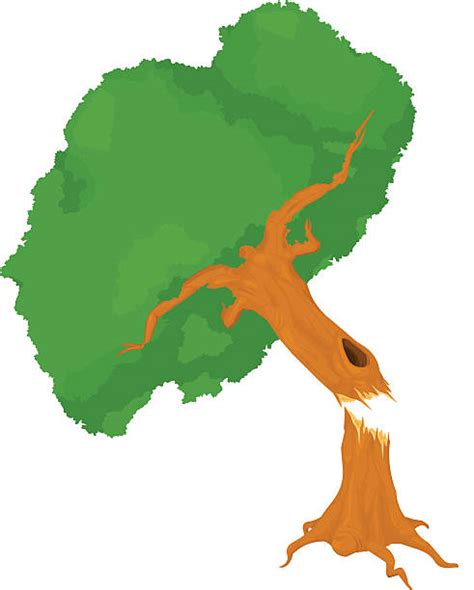 Falling From A Tree Clip Art ~ PNG-clipart