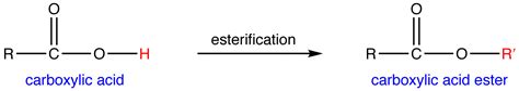 Esterification - Chemistry LibreTexts