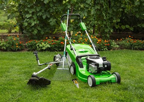 5 Lawn Care Tools Everyone Should Have for their Yard – Better HouseKeeper