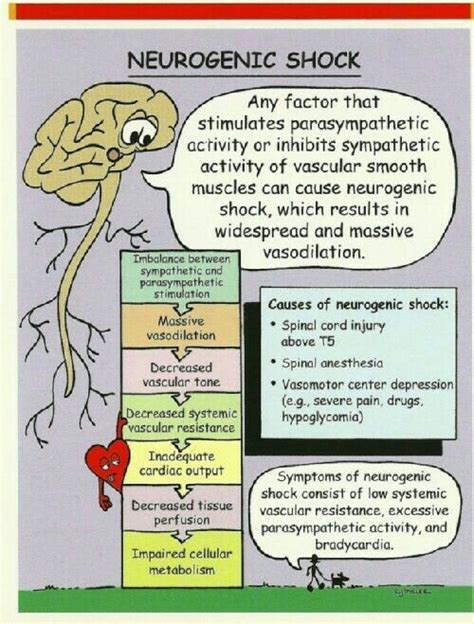 Pin on physiology