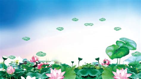 Beautiful lotus leaf background design | Leaf background, Background design, Paint background