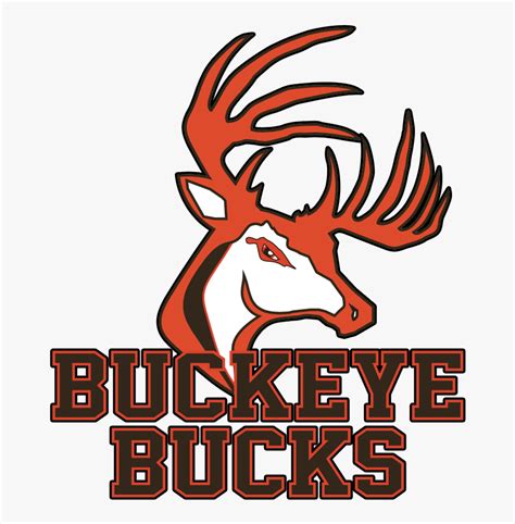 School Logo - Buckeye Local Schools Logo, HD Png Download - kindpng