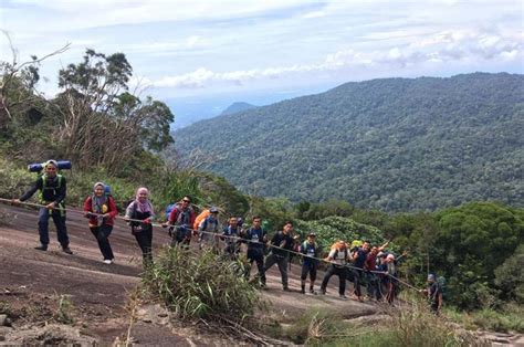 Gunung Ledang Hiking with Local Guide, Muar, Malaysia | Gokayu, Your Travel Guide