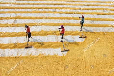 India Agriculture Based Country Most Rural Editorial Stock Photo - Stock Image | Shutterstock