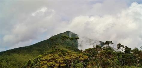 Mount Hamiguitan, Philippines - Upcoming Hikes, Climbing Schedules