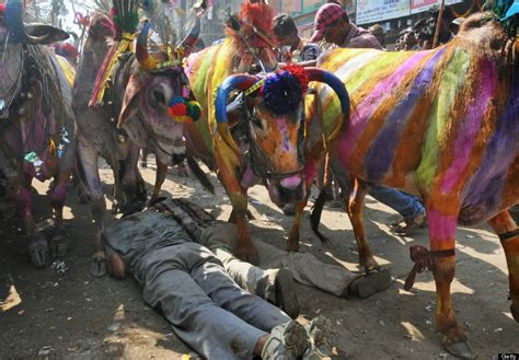 Weed, Goats And The Year's Biggest Storm: The Week In Photos, November ...