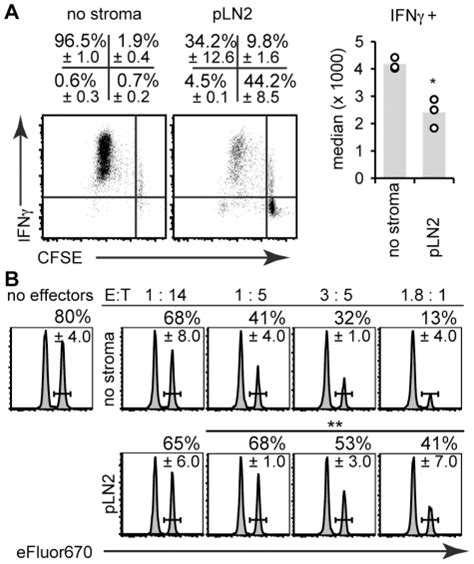 The T cell activation assay (see legend of Fig. 1) was performed ...