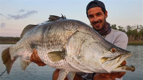 Topwater Dream Fish! (Barramundi). - YouTube