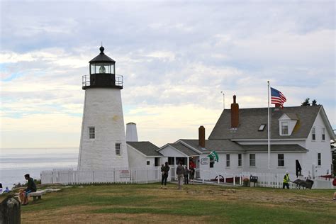 Maine Puffin Watch - New Harbour | Trails Unblazed