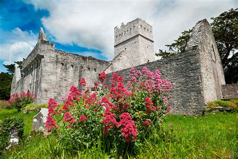 Muckross Abbey - Sika Lodge Bed & Breakfast Killarney