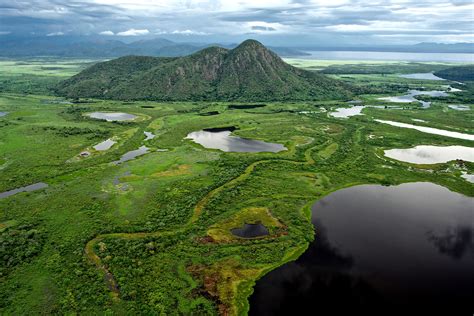 Brazil's Best Kept Secret: The Pantanal