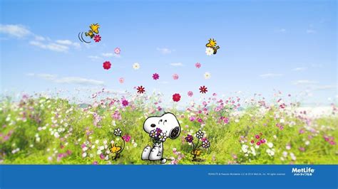 56+ Snoopy Spring Wallpapers on WallpaperPlay | Snoopy wallpaper, Snoopy and woodstock, Snoopy