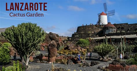 Cactus Garden Lanzarote - Visit Tips + Photos (Fun place!)