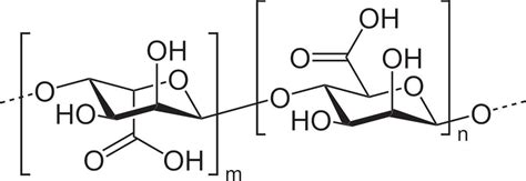 Unlocking the Potential of Sodium Alginate in Hydrogel Production