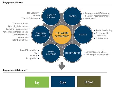 Model of Employee Engagement | Human Resources and Team Development Specialists