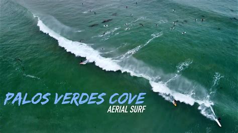 Surfing Palos Verdes Cove, CA Aerial Shots - YouTube