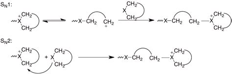 Polymers | Free Full-Text | Ring-Opening Polymerization—An Introductory Review