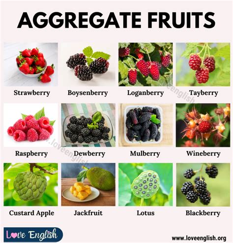 Aggregate Fruit Names | List of 20+ Aggregate Fruits with their Benefits - Love English