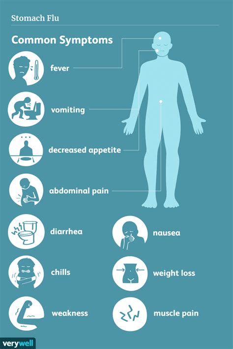 Stomach Flu 2024 Symptoms - Berna Stoddard